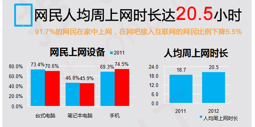20130116_写真_中国_ネット_4