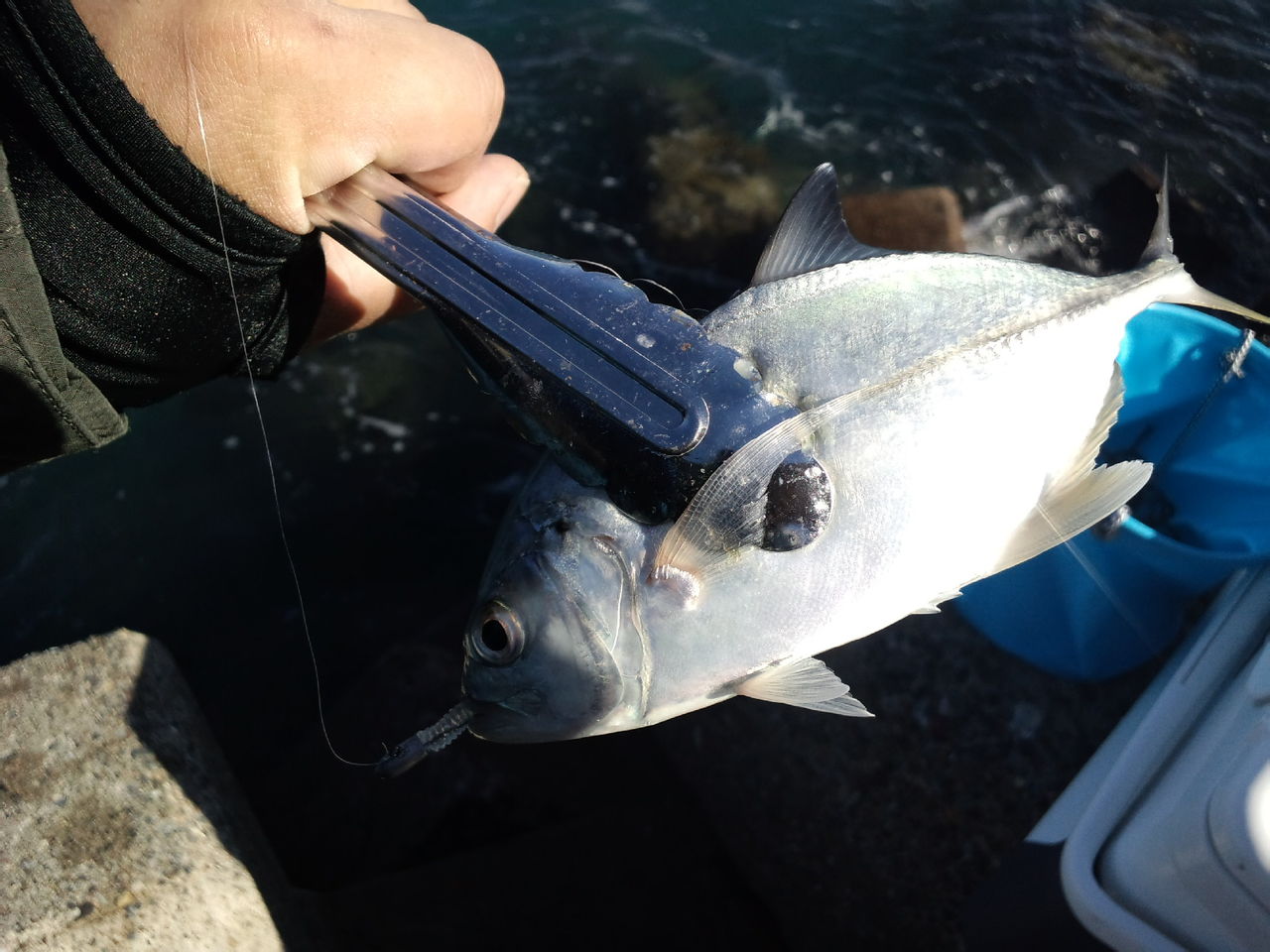 南房 内房シーバス メッキ No Fishing No Life