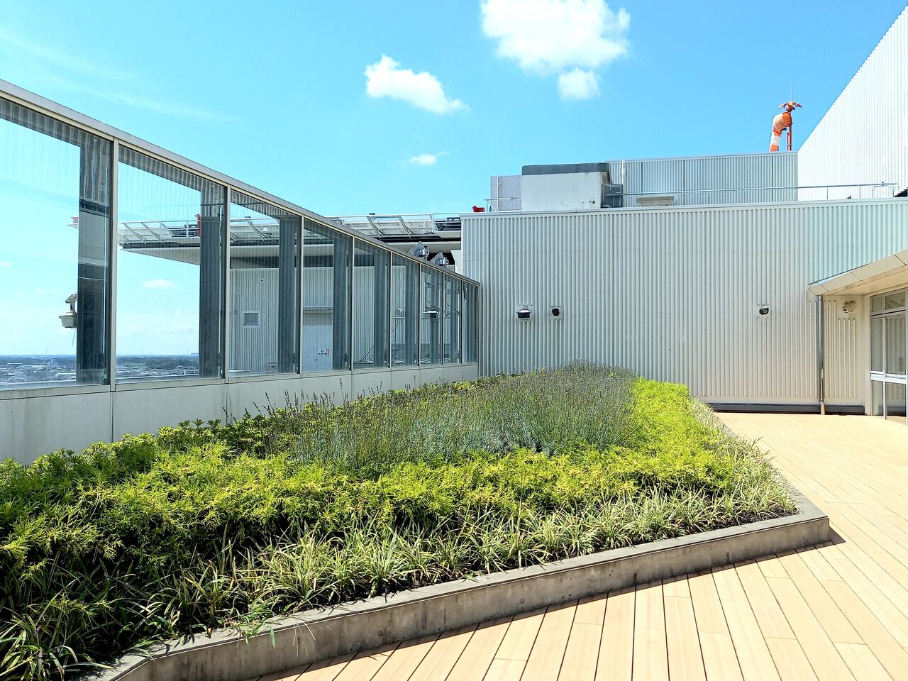 屋上の景色 茨城東海岸