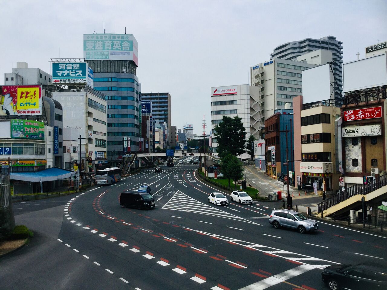 水戸大銀杏 茨城東海岸