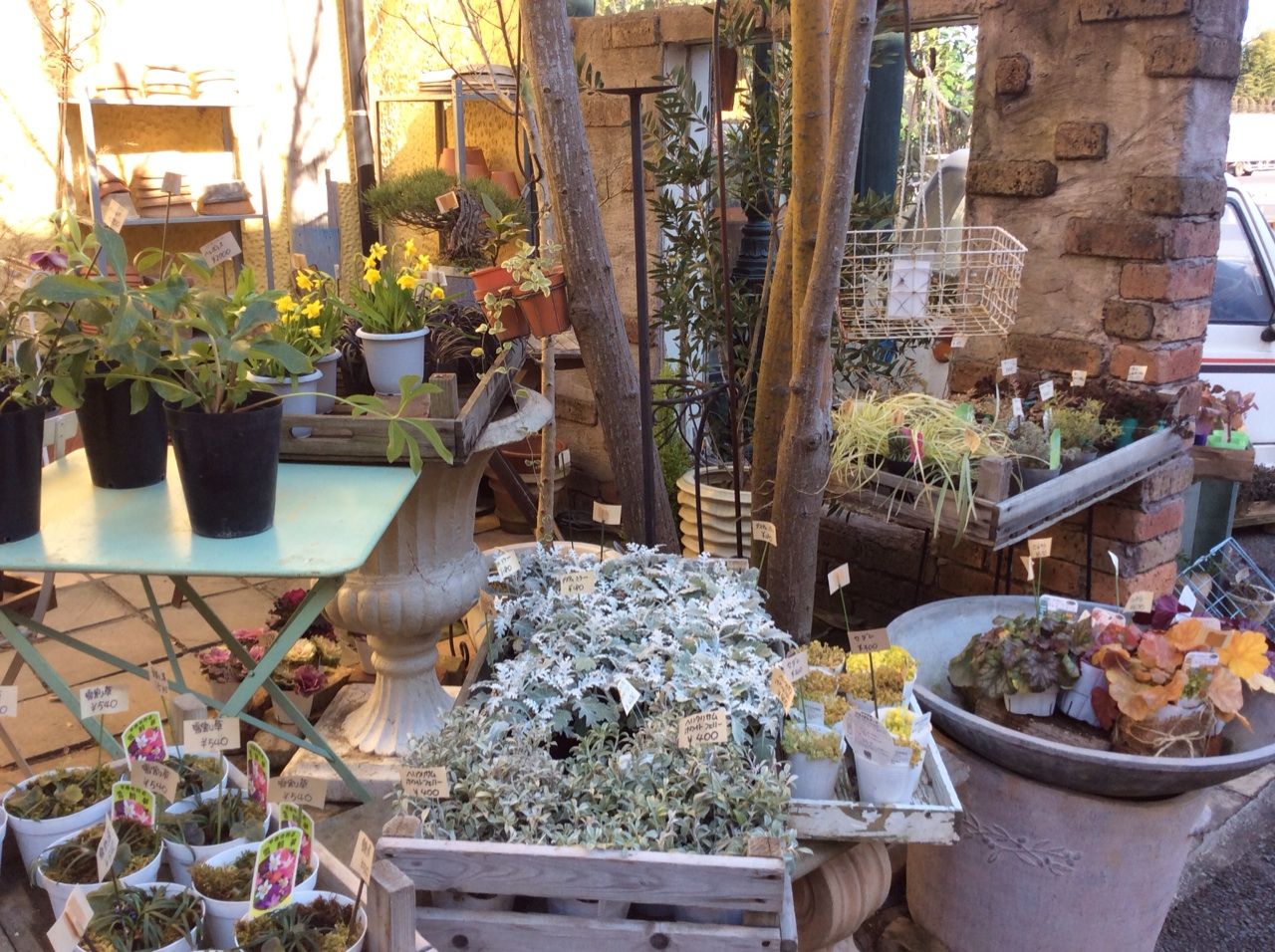 フラワーオブジェ グリーンスポット 茨城東海岸