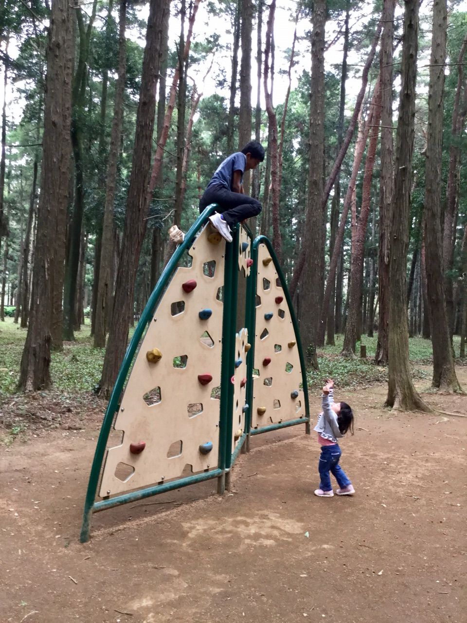龍ケ崎市森林公園 アスレチック 茨城東海岸