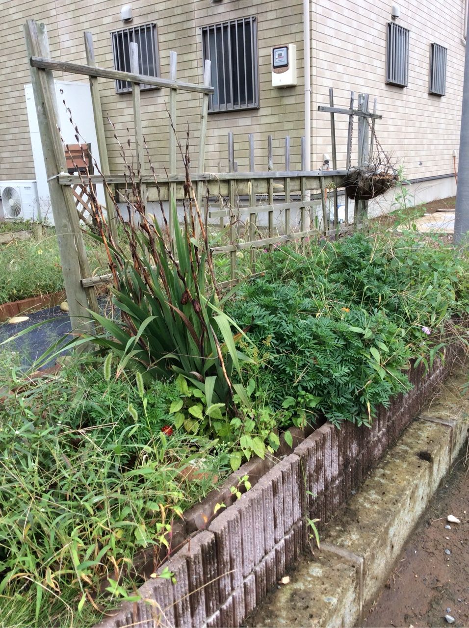 ポタジェは草だらけ からのハプニング発生 茨城東海岸