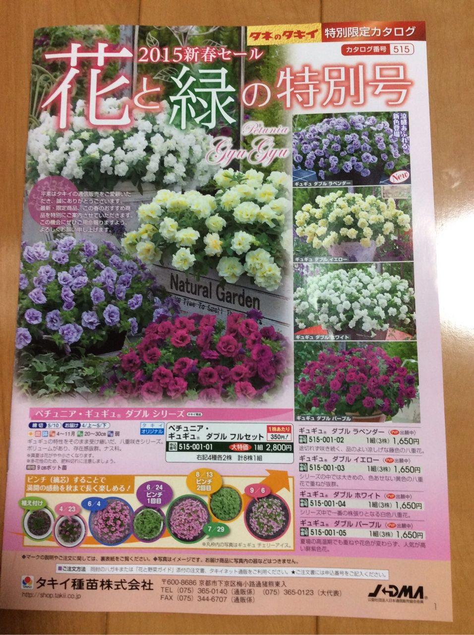 タキイ種苗の種が送られてきました 茨城東海岸 タキイ種苗の種が送られてきました 茨城東海岸