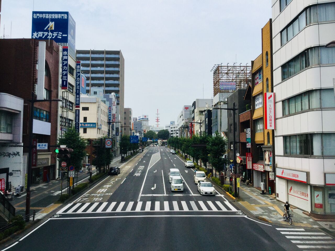 水戸大銀杏 茨城東海岸