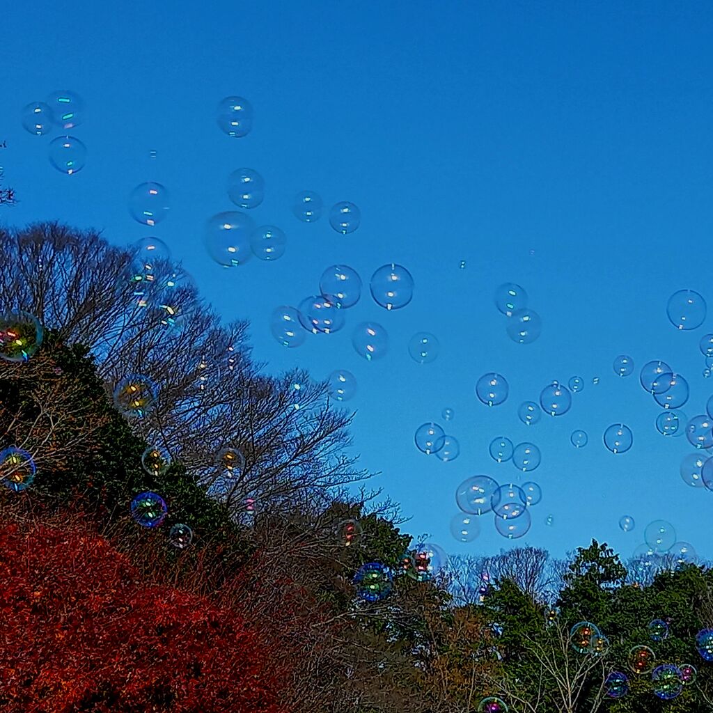 シャボン玉と紅葉 茨城東海岸