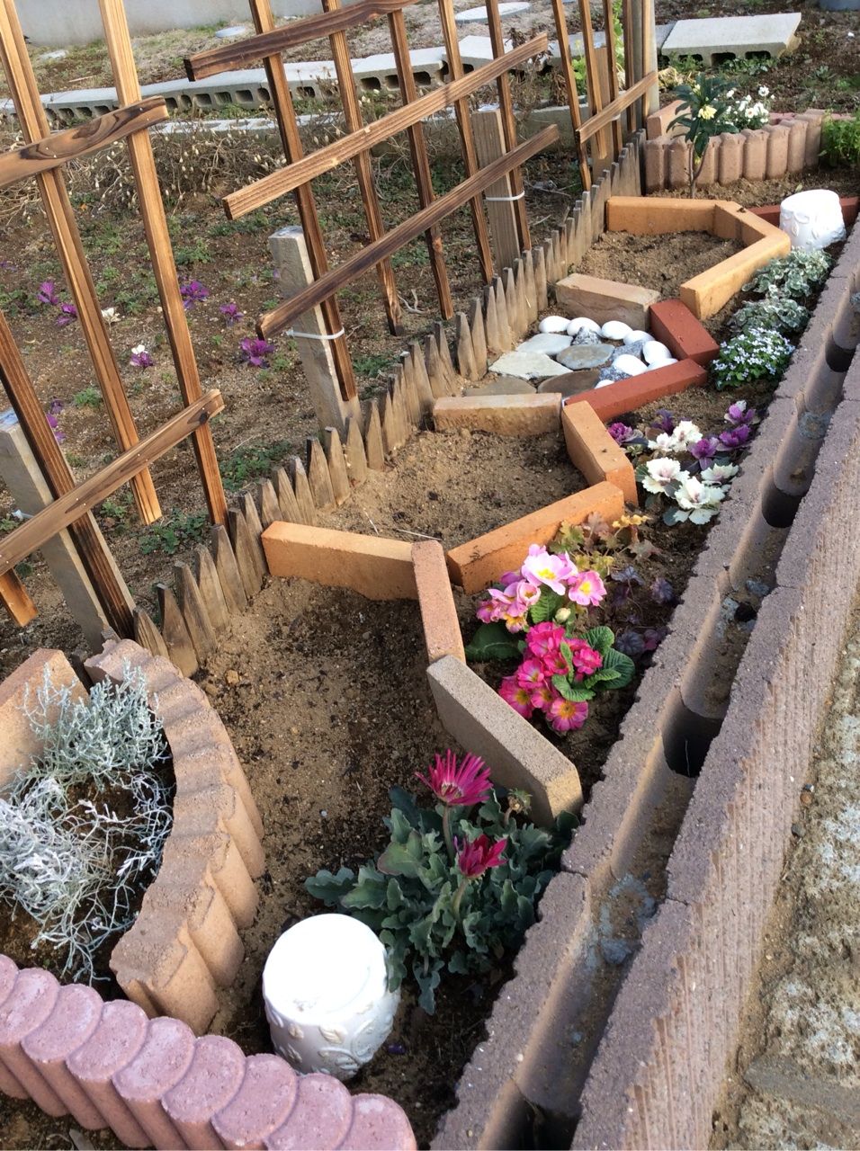 ポタジェの西側の花壇に野菜の種を蒔いた 茨城東海岸