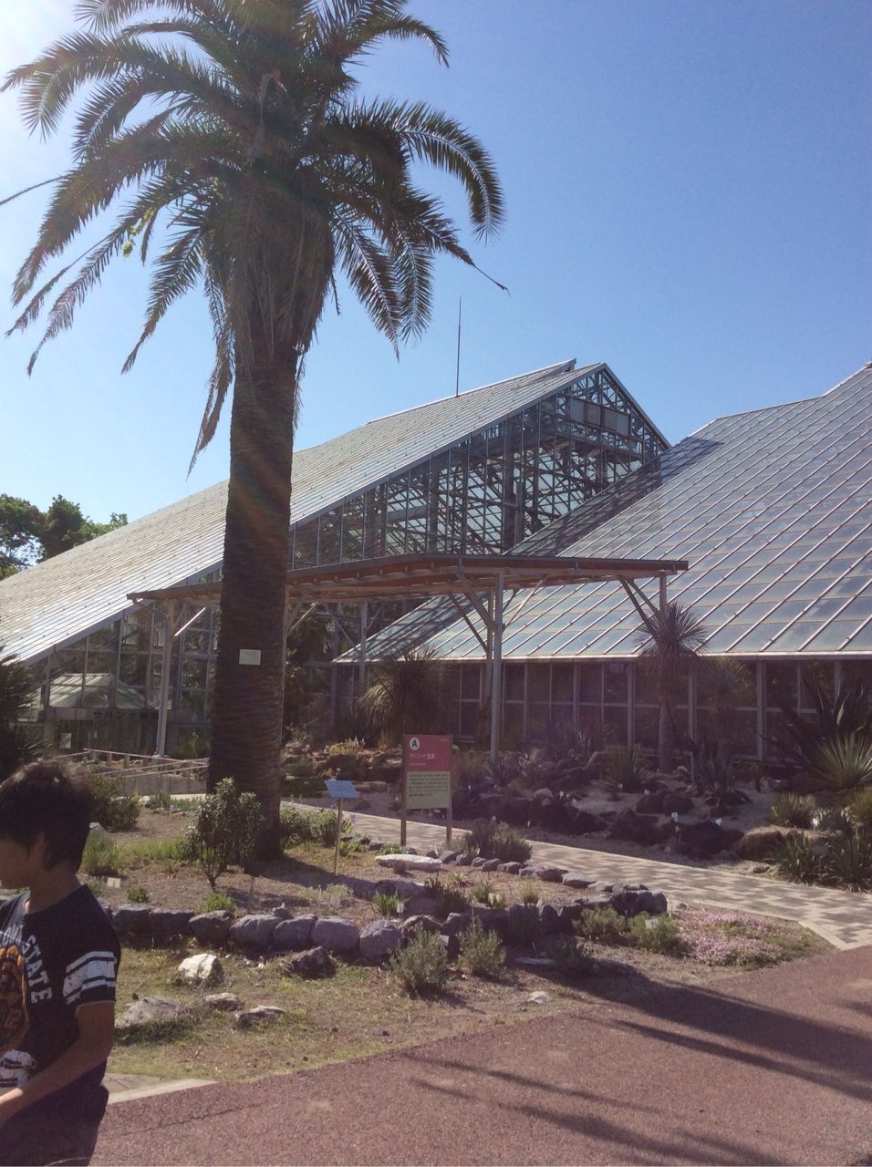 筑波実験植物園 クレマチス展 茨城東海岸