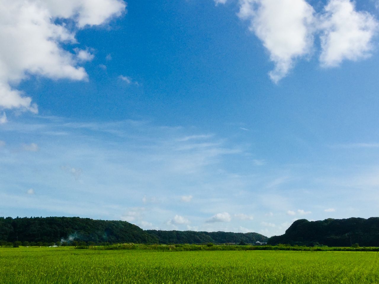夏の景色 水田 茨城東海岸