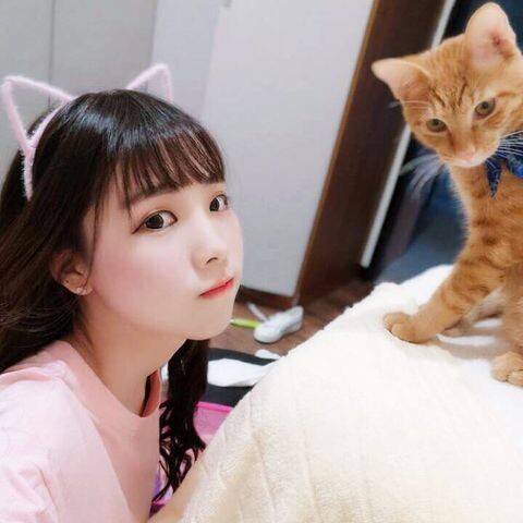 713281B5-B809-4F8A-925C-67CB218C6DFE