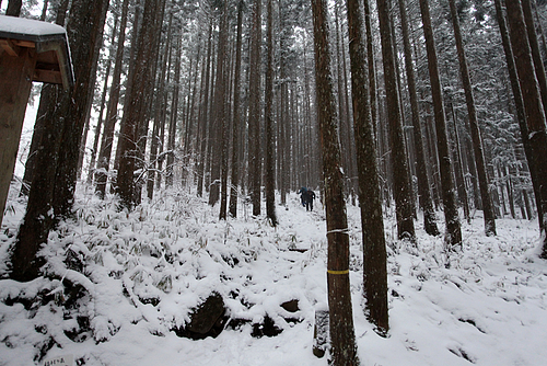 観音峰登山口 観音峰登山口