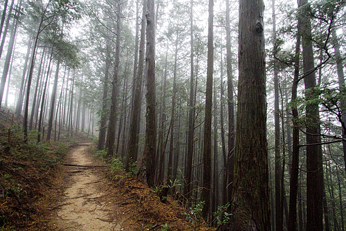 高見山20120121 高見山20120121