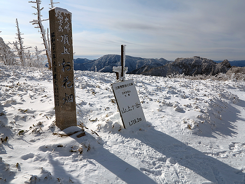 山上ヶ岳_お花畑 山上ヶ岳_お花畑