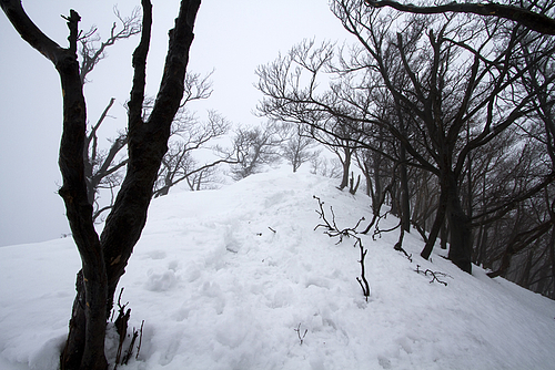 高見山_山頂付近_20120121 高見山_山頂付近_20120121