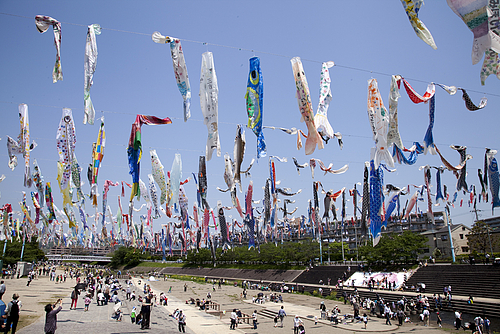 鯉のぼり吹き流し_芥川 鯉のぼり吹き流し_芥川