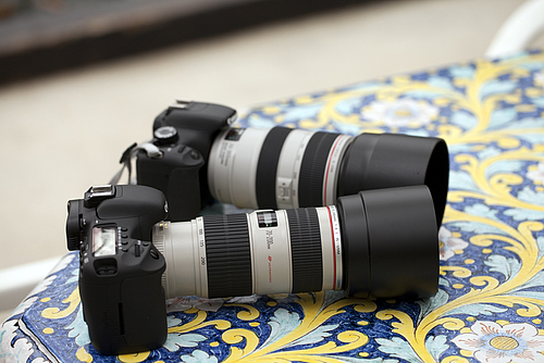70-200Lと70-300L 70-200Lと70-300L