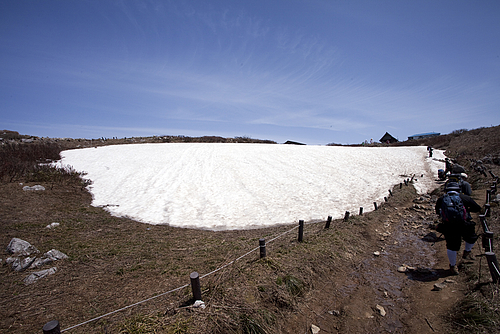 伊吹山_九合目_残雪 伊吹山_九合目_残雪