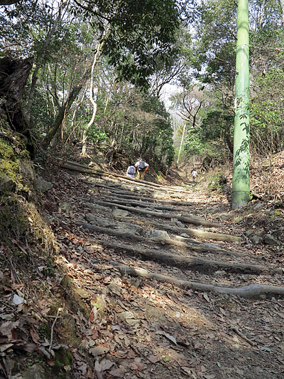 愛宕山_表参道階段 愛宕山_表参道階段