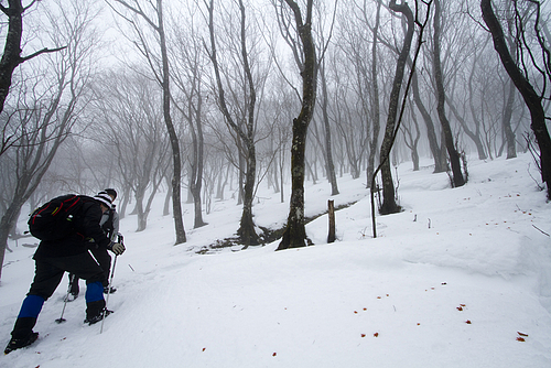 高見山山頂〜小峠20120121 高見山山頂〜小峠20120121