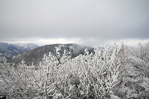 御在所岳_海老のしっぽ201202 御在所岳_海老のしっぽ201202