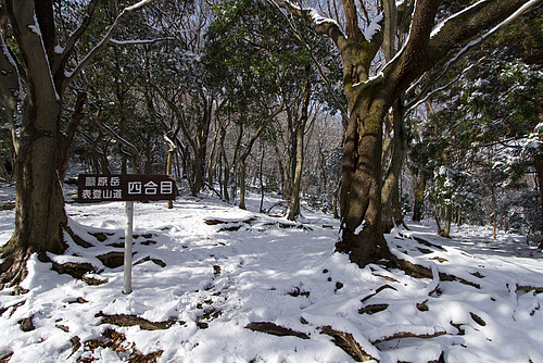 藤原岳_四合目 藤原岳_四合目