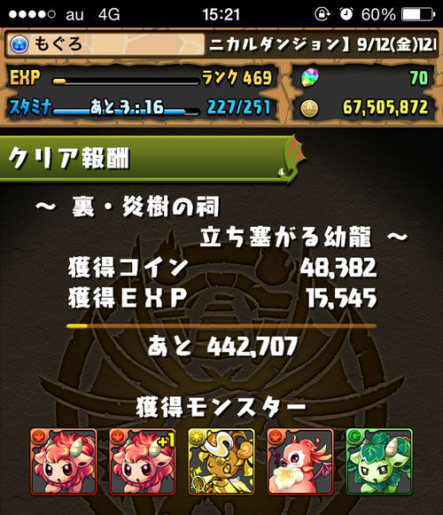 ヒカピィ遭遇2
