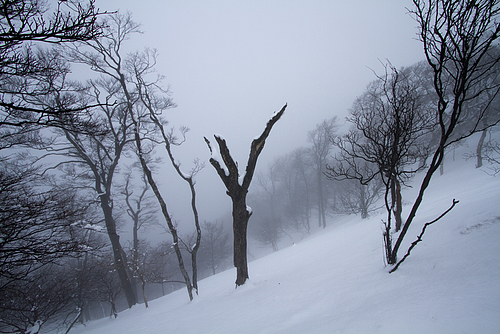 高見山_九合目付近_20120121 高見山_九合目付近_20120121