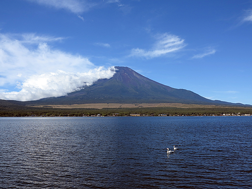 富士山_山中湖より 富士山_山中湖より