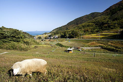 ふるるファーム ふるるファーム