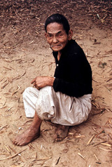 �ܤ�δ㺹��������Ƥ���Ϸ��