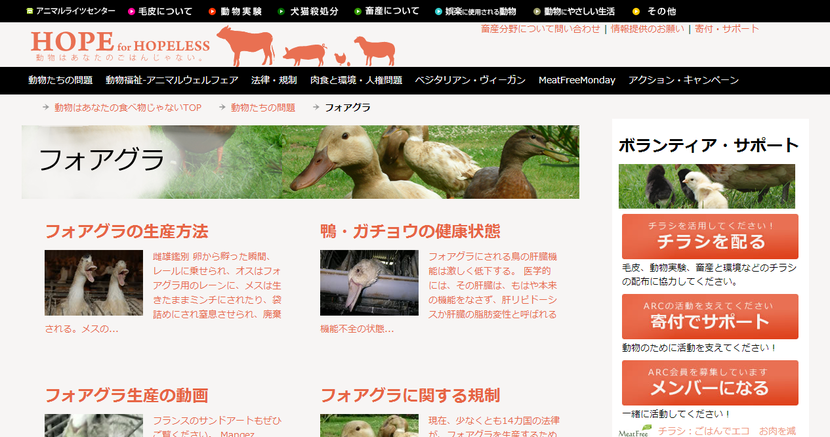 �ե�������   �ܻ���ưʪ�Ϥ��ʤ��Τ��Ϥ󤸤��