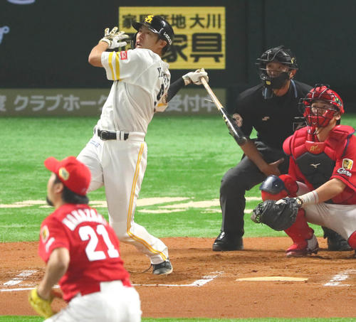 201811020000067-w500_0