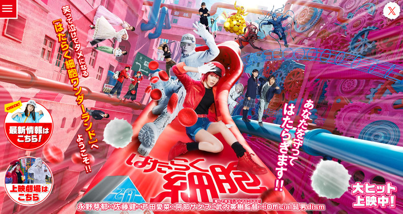 �ǲ�ؤϤ��餯��˦�ٸ���������-