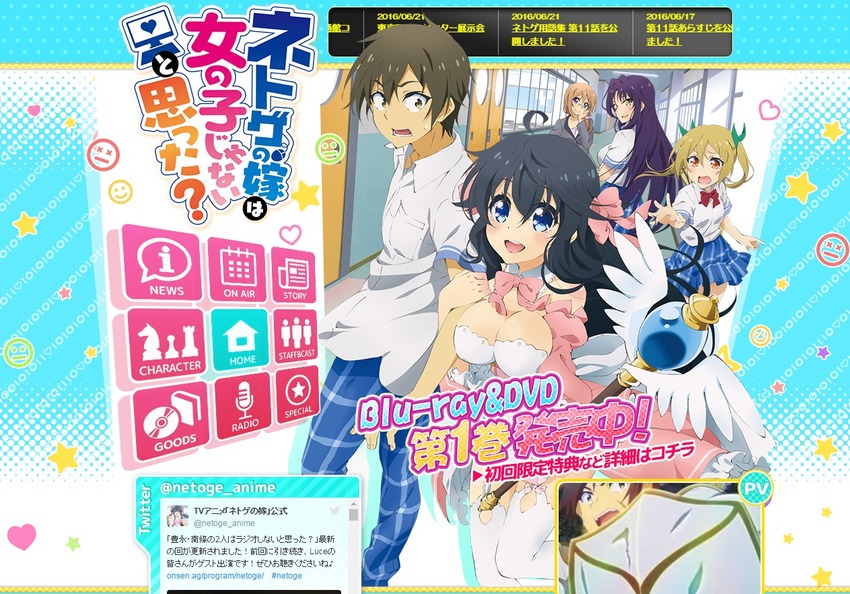 TV���˥�֥ͥȥ��βǤϽ��λҤ���ʤ��Ȼפä����׸���������