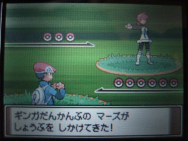 ポケモンプレイ日記 プラチナ北海道旅 その７ 牛たたきのブログ