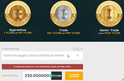 TCC資産運用TCOIN購入手順7
