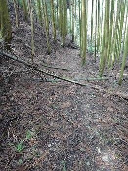 いぬなき峠 (23)