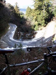 岳城若杉米の山道