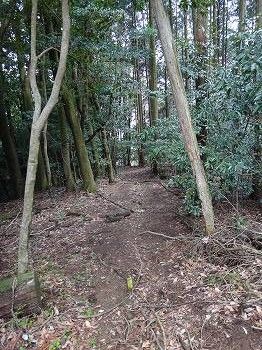 いぬなき峠 (37)