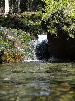 いぬなき峠 (39)