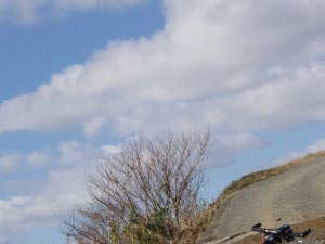 岳城若杉米の山自撮り2