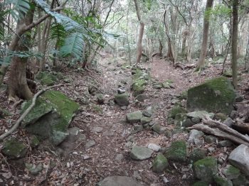 2012凍る滝2