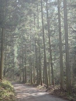 いぬなき峠 (41)