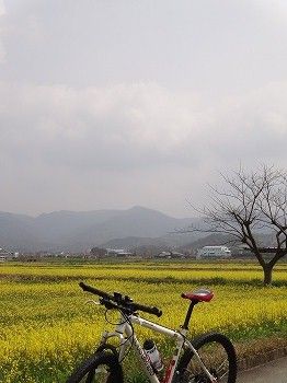 いぬなき峠