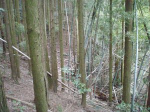 横峠7