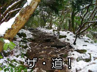 雪道1