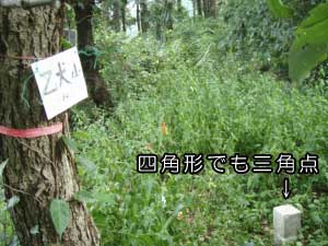乙犬山三角点