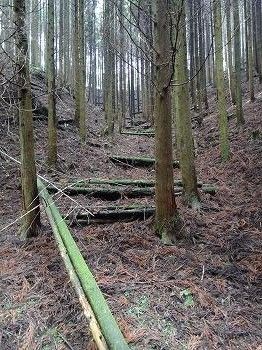 いぬなき峠 (26)