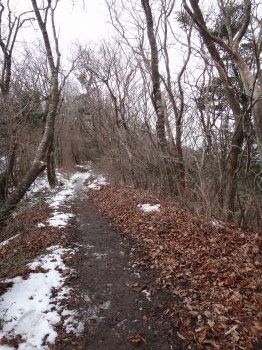 2012凍る滝8