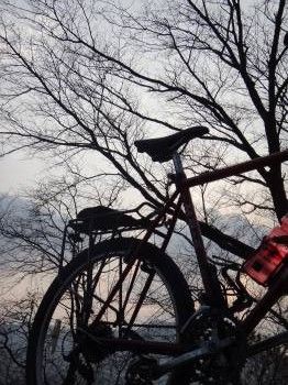 南蔵院自転車